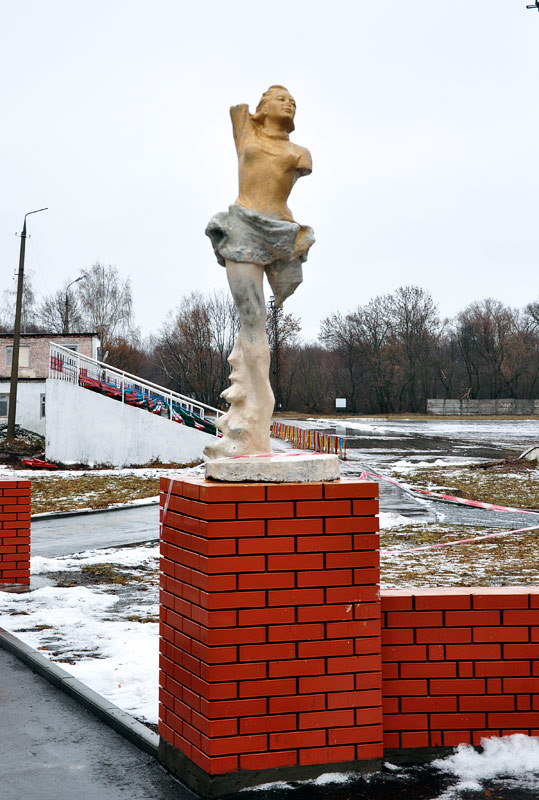 fgr01.jpg