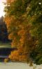 DSC_0300.JPG