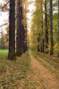 Файл : 2009_park07.jpg
Размер файла : 370KB
Размеры : 531x800
Дата добавления : Ноябрь 08, 2009 2009_park07.jpg