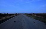2009_zo04.jpg
