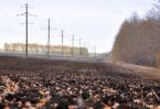 Файл : 2009_zo16.jpg
Размер файла : 207KB
Размеры : 800x548
Дата добавления : Окт 14, 2009 2009_zo16.jpg