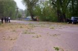 201005_vetki.jpg