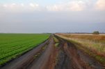 Файл : 201105_dirtroad.jpg
Размер файла : 162KB
Размеры : 800x528
Дата добавления : Июнь 11, 2011 201105_dirtroad.jpg