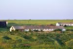 201105_pap_farm.jpg