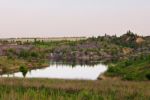 Файл : 201105_raz_pond.jpg
Размер файла : 188KB
Размеры : 800x531
Дата добавления : Июнь 11, 2011 201105_raz_pond.jpg