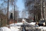 Файл : zd_zelenaya.jpg
Размер файла : 198KB
Размеры : 800x527
Дата добавления : Сент 28, 2007 zd_zelenaya.jpg