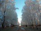 Файл : HPIM2243.JPG
Размер файла : 85KB
Размеры : 640x482
Дата добавления : Окт 28, 2008 HPIM2243.JPG