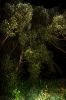 047-IMG_2294.jpg