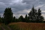 IMG_000005935.JPG