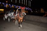 Файл : IMG_1223.jpg
Размер файла : 366KB
Размеры : 1239x826
Дата добавления : Янв 06, 2012 IMG_1223.jpg