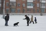 Файл : IMG_3460.jpg
Размер файла : 241KB
Размеры : 1025x684
Дата добавления : Февр 15, 2010 IMG_3460.jpg