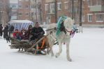 Файл : IMG_3463.jpg
Размер файла : 276KB
Размеры : 1025x684
Дата добавления : Февр 15, 2010 IMG_3463.jpg