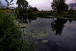 IMG_4831.jpg
