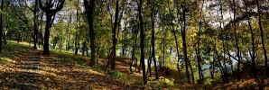 IMG_5718 Panorama.jpg