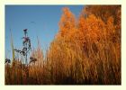 IMG_720000037.JPG