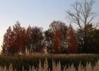 IMG_73000000.JPG