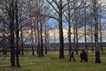 IMG_740000050.JPG