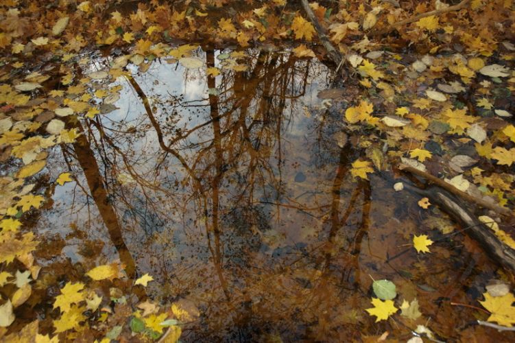 Нажать для просмотра полного размера